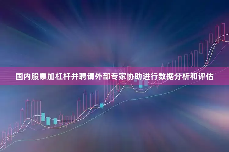 国内股票加杠杆并聘请外部专家协助进行数据分析和评估